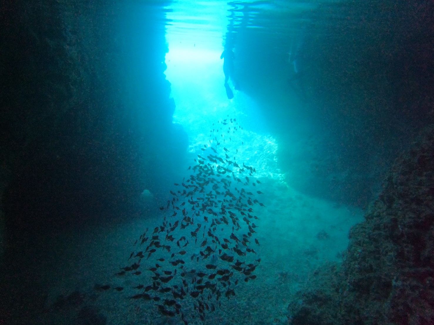 沖縄青の洞窟の場所と近くのビーチは？シュノーケリングを楽しむためには？の疑問に答えます